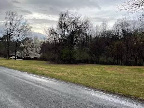 0 Pleasure Point Lot 49 Dr, Goodview, VA 24095 photo 6