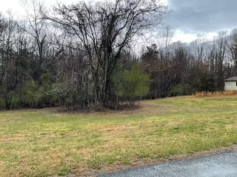 0 Pleasure Point Lot 49 Dr, Goodview, VA 24095 photo 5