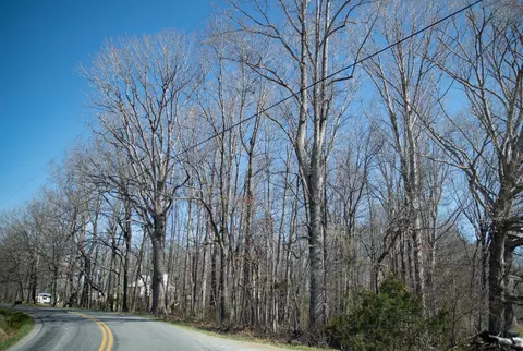 0 Morgans Church Rd, Moneta, VA 24121