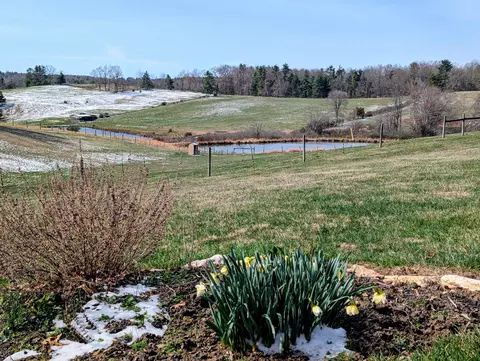 View/Area - 446 Good Neighbors Rd NE, Check, VA 24072 photo 12 of 12