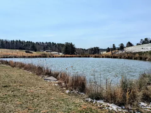 View/Area - 446 Good Neighbors Rd NE, Check, VA 24072 photo 3 of 12