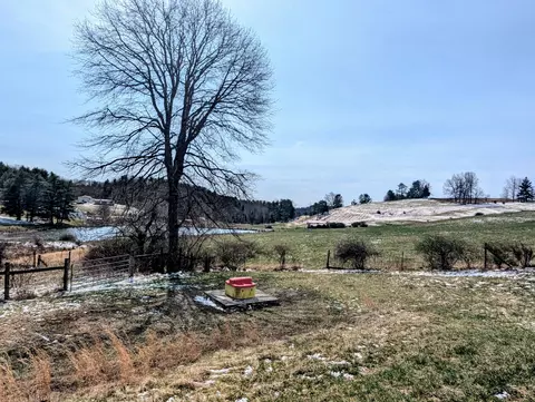 Exterior - 446 Good Neighbors Rd NE, Check, VA 24072 photo 7 of 28
