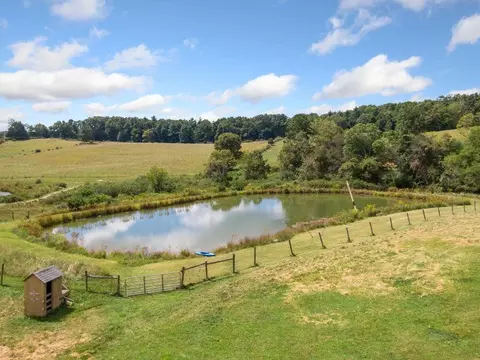 View/Area - 446 Good Neighbors Rd NE, Check, VA 24072 photo 9 of 12