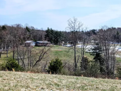 Exterior - 446 Good Neighbors Rd NE, Check, VA 24072 photo 8 of 28