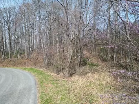 00 Marshall Hill Rd, Ferrum, VA 24088 photo 4