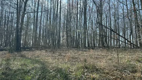 0 Cottontown Rd, Forest, VA 24551