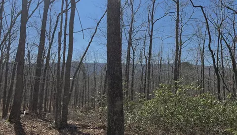 0 Hall Rd, Catawba, VA 24070 photo 4
