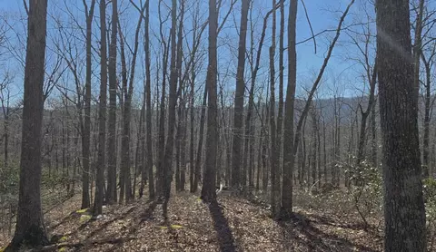 0 Hall Rd, Catawba, VA 24070 photo 3