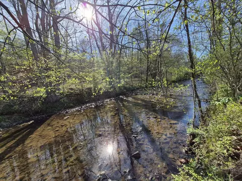 Other - 1232 Prillaman Switch Rd, Ferrum, VA 24088 photo 3 of 7