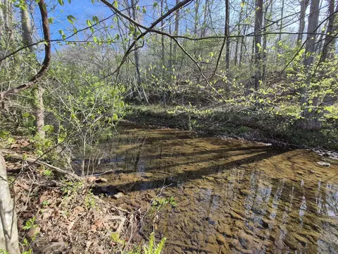 Other - 1232 Prillaman Switch Rd, Ferrum, VA 24088 photo 4 of 7
