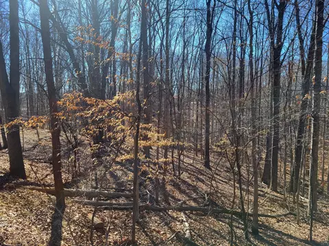 0 Ridgeway Ct, Moneta, VA 24121 photo 5