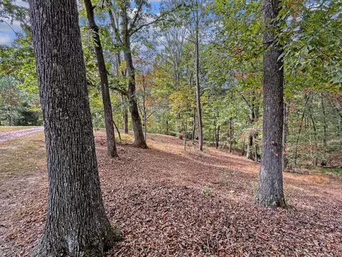 Exterior - 411 Hardbarger Rd, Buchanan, VA 24066 photo 25 of 28