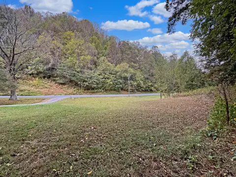Exterior - 411 Hardbarger Rd, Buchanan, VA 24066 photo 26 of 28