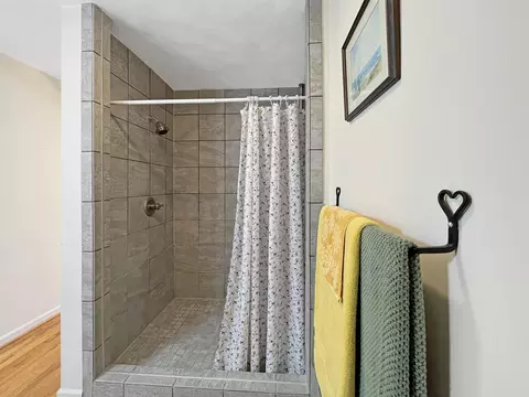 Bath - 411 Hardbarger Rd, Buchanan, VA 24066 photo 2 of 7