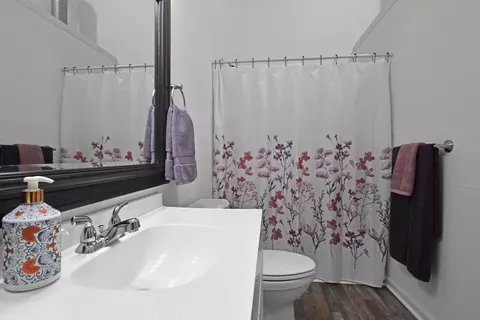 Bath - 411 Hardbarger Rd, Buchanan, VA 24066 photo 6 of 7