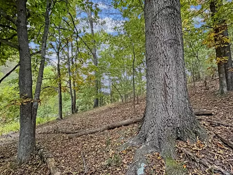 Exterior - 411 Hardbarger Rd, Buchanan, VA 24066 photo 24 of 28
