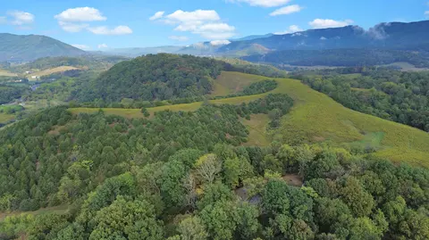 View/Area - 411 Hardbarger Rd, Buchanan, VA 24066 photo 3 of 7