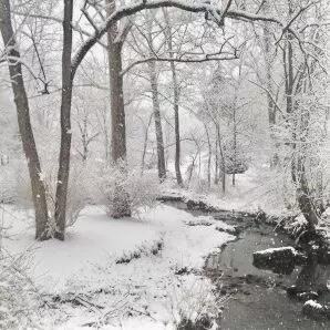 Other - 800 E Morris Hill Rd, Covington, VA 24426 photo 29 of 36