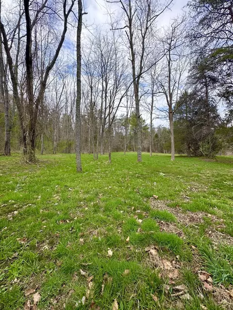 Exterior - 800 E Morris Hill Rd, Covington, VA 24426 photo 37 of 42