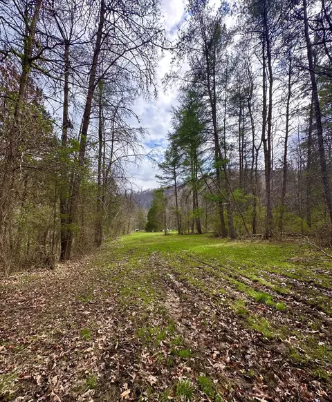 Other - 800 E Morris Hill Rd, Covington, VA 24426 photo 26 of 36