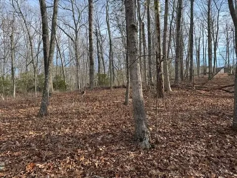 lot48 Old Mill Dr, Hardy, VA 24101