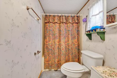 706 Dunbrack Cir, Covington, VA 24426 photo 13