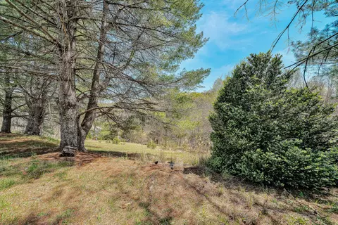 Exterior - 19660 Franklin St, Ferrum, VA 24088 photo 5 of 7