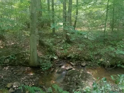 Other - 19660 Franklin St, Ferrum, VA 24088 photo 2 of 16
