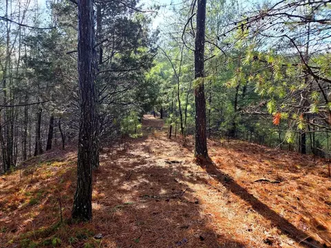 0 Bowater Rd, Dunlap, TN 37327 photo 4