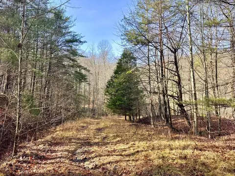 0 Bowater Rd, Dunlap, TN 37327 photo 5