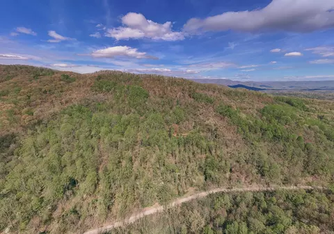 0 Sugar Tree Hollow Rd, Eagle Rock, VA 24085 photo 4