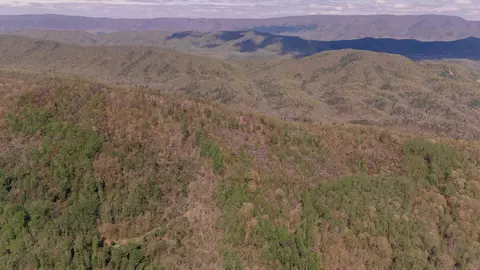 0 Sugar Tree Hollow Rd, Eagle Rock, VA 24085 photo 3