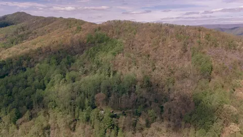 0 Sugar Tree Hollow Rd, Eagle Rock, VA 24085 photo 6