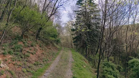 0 Sugar Tree Hollow Rd, Eagle Rock, VA 24085 photo 34