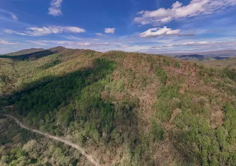 0 Sugar Tree Hollow Rd, Eagle Rock, VA 24085 photo 5