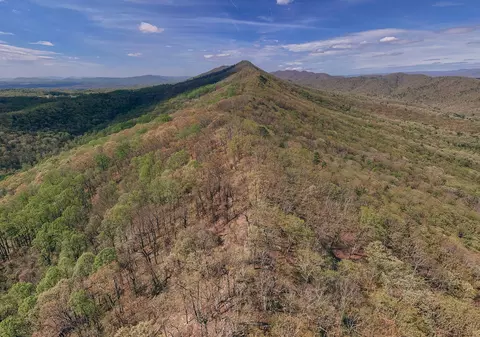 0 Sugar Tree Hollow Rd, Eagle Rock, VA 24085 photo 37