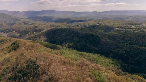 0 Sugar Tree Hollow Rd, Eagle Rock, VA 24085 photo 36