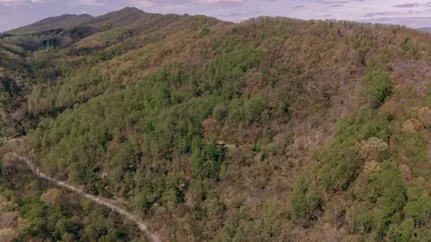 0 Sugar Tree Hollow Rd, Eagle Rock, VA 24085 photo 2