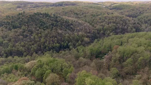 0 Sugar Tree Hollow Rd, Eagle Rock, VA 24085 photo 8
