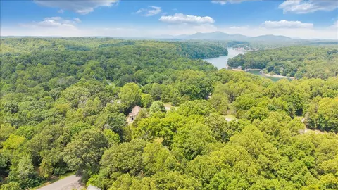 View/Area - 55 Walnut Trace Dr, Hardy, VA 24101 photo 6 of 30