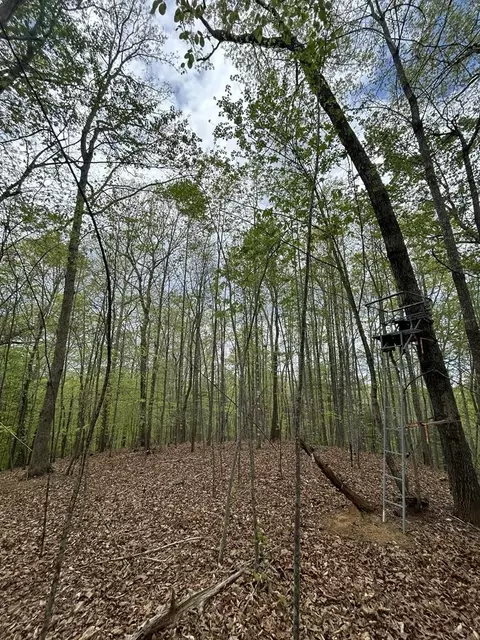 0 Mockingbird Ln, Bassett, VA 24055