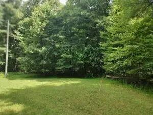 0 Greenwood Ln, Copper Hill, VA 24079