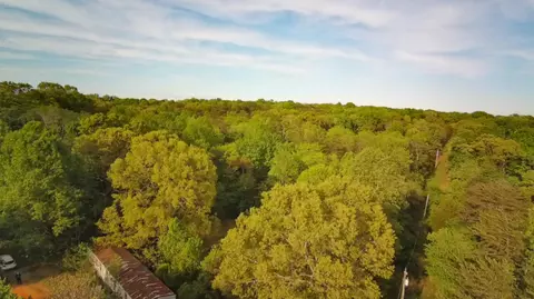 1315 Penn Hollow Rd, Moneta, VA 24121