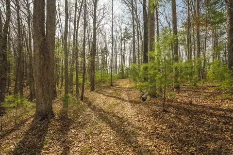 tbd Whip-poor Will Hollow Rd, Warm Springs, VA 24484