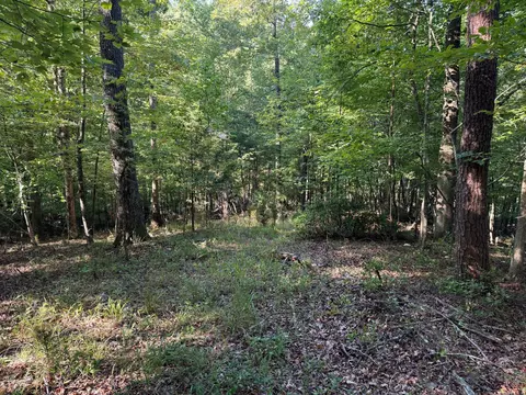 2 Cedar Bluff Ln, Hardy, VA 24101 photo 3