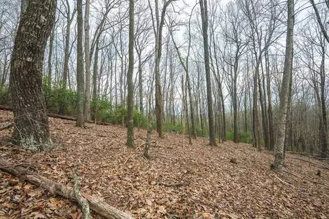 tbd Cox Store Rd SW, Floyd, VA 24091 photo 23