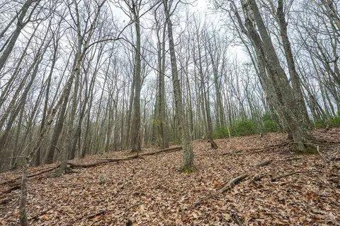 tbd Cox Store Rd SW, Floyd, VA 24091 photo 15