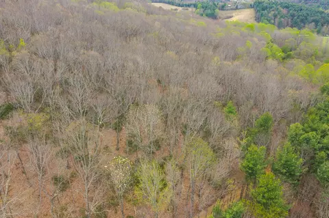 tbd Cox Store Rd SW, Floyd, VA 24091 photo 3