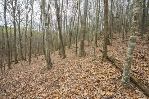tbd Cox Store Rd SW, Floyd, VA 24091 photo 19
