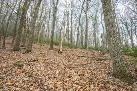 tbd Cox Store Rd SW, Floyd, VA 24091 photo 18